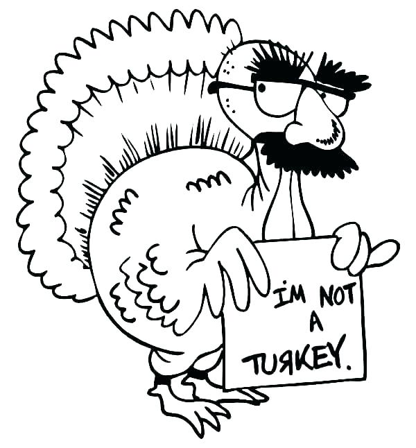 600x646 Cute Turkey Drawing Silly Cute Baby Turkey Drawings - Cute Turkey Drawing