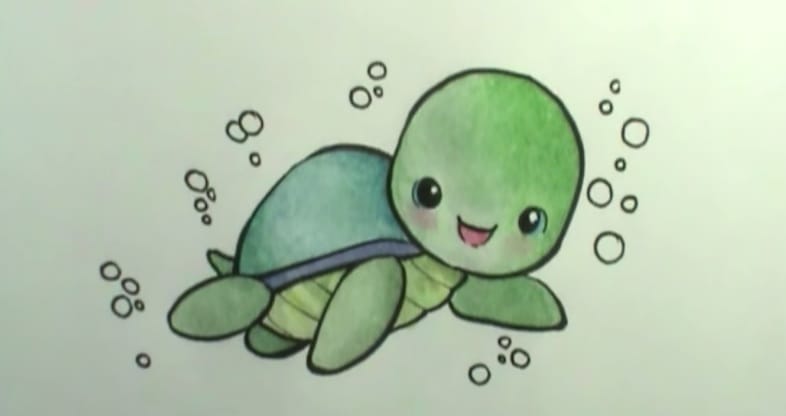 786x416 How To Draw A Turtle - Cute Turtle Drawing