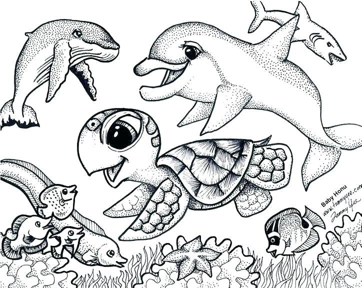 724x576 Pages Turtles Best Sea Coloring New Of Related Post Baby Cute - Cute Turtle Drawing
