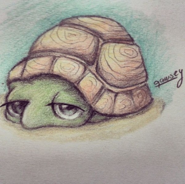 600x596 Turtle Drawing Ideas - Cute Turtle Drawing