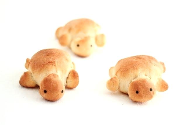 640x427 cute turtle drawing turtle drawings cute turtle drawing images - Cute Turtle Drawing