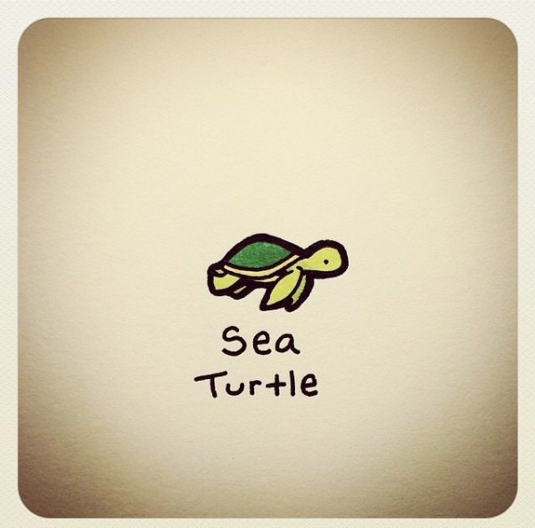 600x592 Cute Turtle Drawing - Cute Turtle Drawing