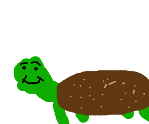 300x250 Cute Turtle Drawing - Cute Turtle Drawing