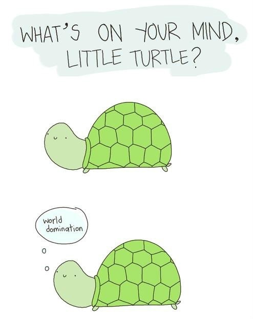 494x622 image about cute in lol - Cute Turtle Drawing Tumblr