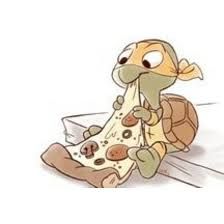 224x224 Image Result For Turtle Drawing Tumblr Tmnt - Cute Turtle Drawing Tumblr
