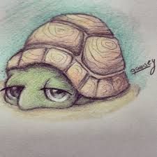 225x224 Image Result For Turtle Drawing Tumblr Rocks Cute Turtle - Cute Turtle Drawing Tumblr