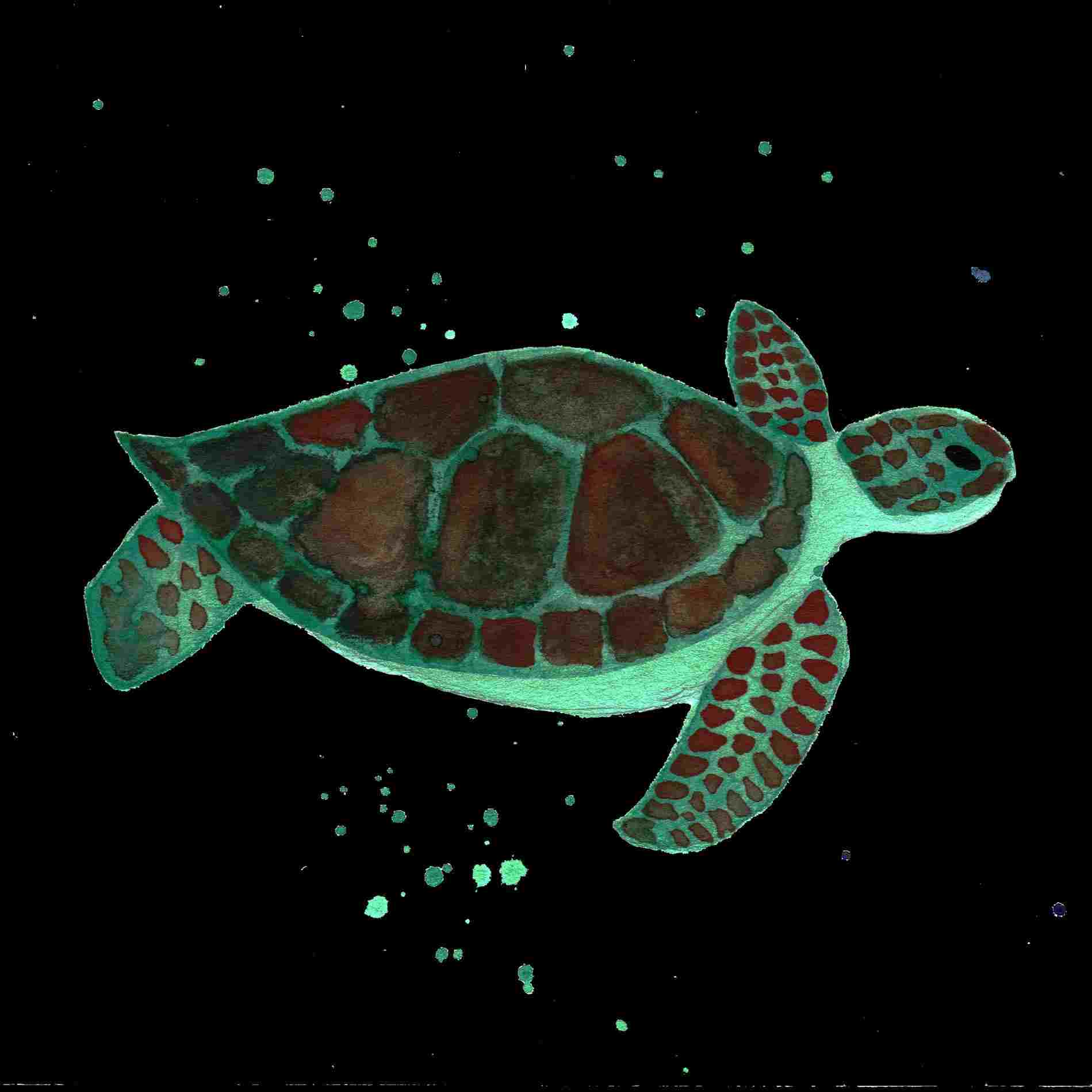 1899x1899 Mom Is Deadud And Other Socially Awkward Nicetiesrhmediumcom How - Cute Turtle Drawing Tumblr