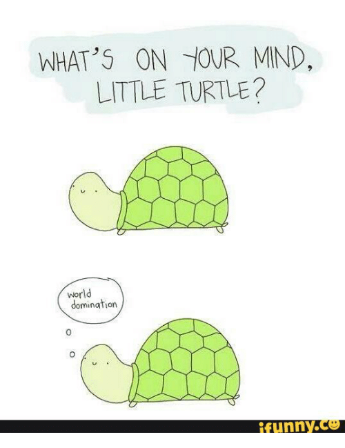 500x649 best memes about cute turtle drawing tumblr cute turtle - Cute Turtle Drawing Tumblr