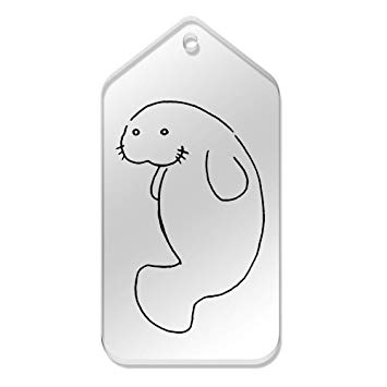 355x355 azeeda x large 'cute walrus' clear gift tags - Cute Walrus Drawing