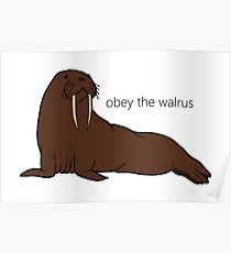 210x230 cute walrus drawing posters redbubble - Cute Walrus Drawing