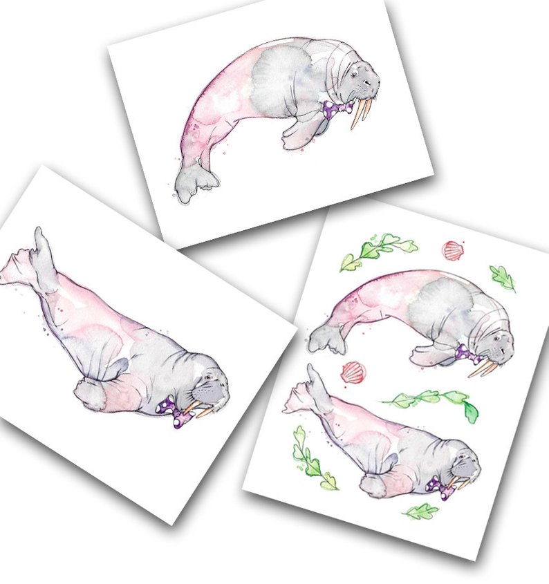794x845 wishing cards of cute walrus animal watercolor stationery etsy - Cute Walrus Drawing