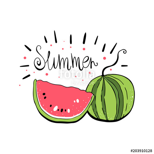 500x500 Watermelon Vector Illustration With The Word Summer Lettering - Cute Watermelon Drawing