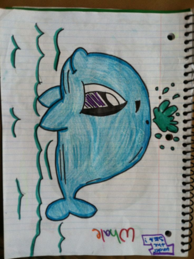 736x985 How To Draw A Cute Whale Drawing - Cute Whale Drawing