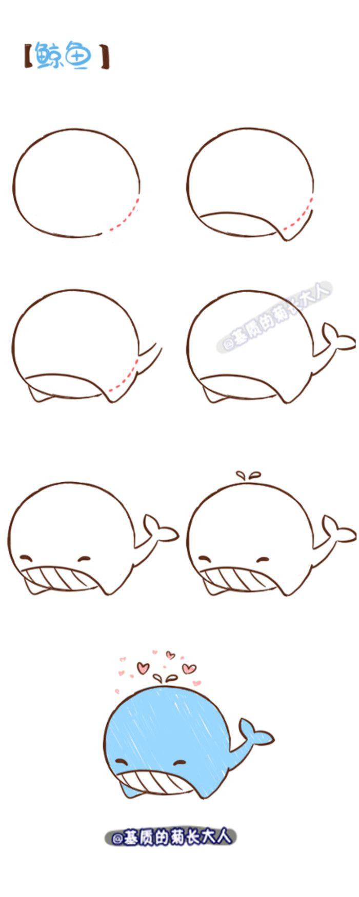 700x1750 How To Draw A Whale Simple Whale Drawing How To Draw Cute Cartoon - Cute Whale Drawing