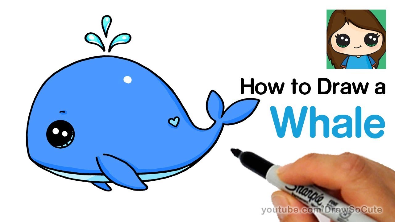 1280x720 How To Draw A Baby Whale Cute And Easy - Cute Whale Drawing