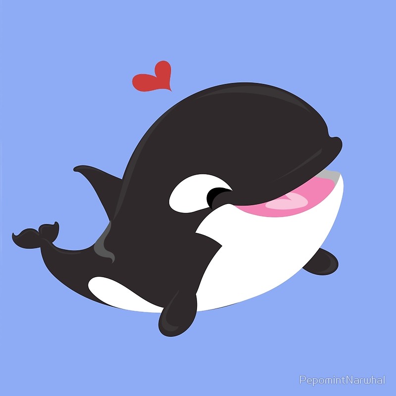 800x800 Pictures Of Cute Killer Whale Drawing - Cute Whale Drawing