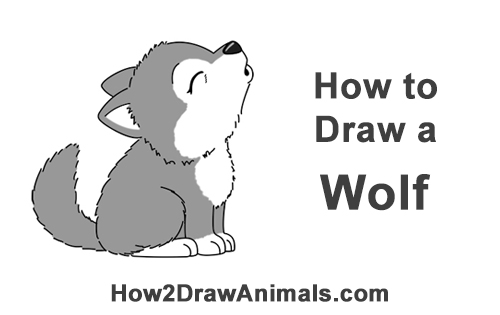 500x315 How To Draw A Wolf Howling - Cute Wolf Drawings