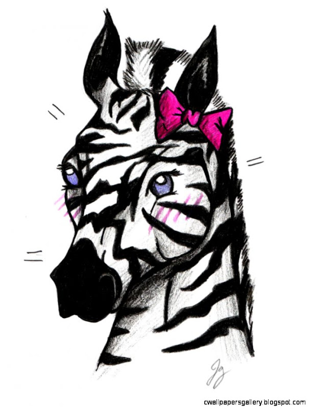 609x800 Cute Zebra Drawings Wallpapers Gallery - Cute Zebra Drawing