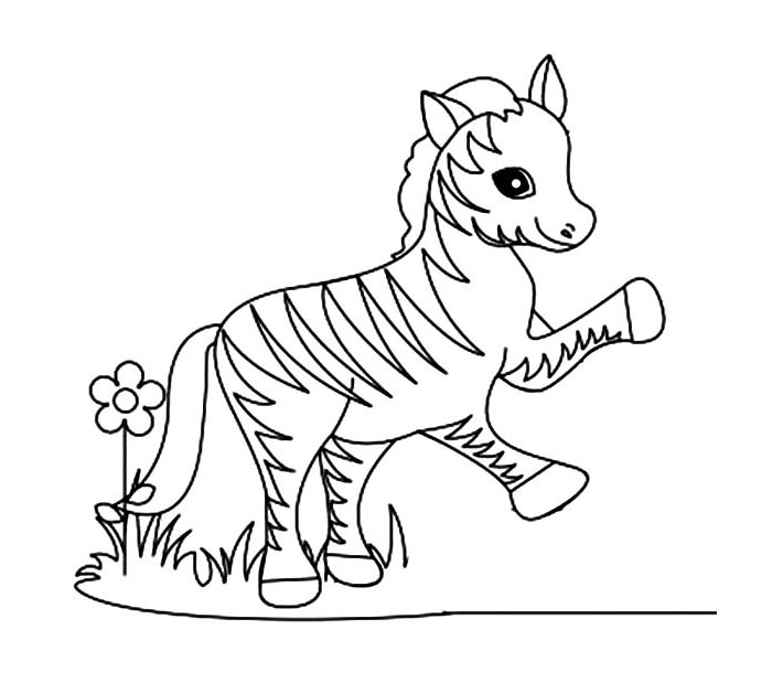 700x619 Huge Collection Of 'cute Baby Zebra Drawing' Download More Than - Cute Zebra Drawing