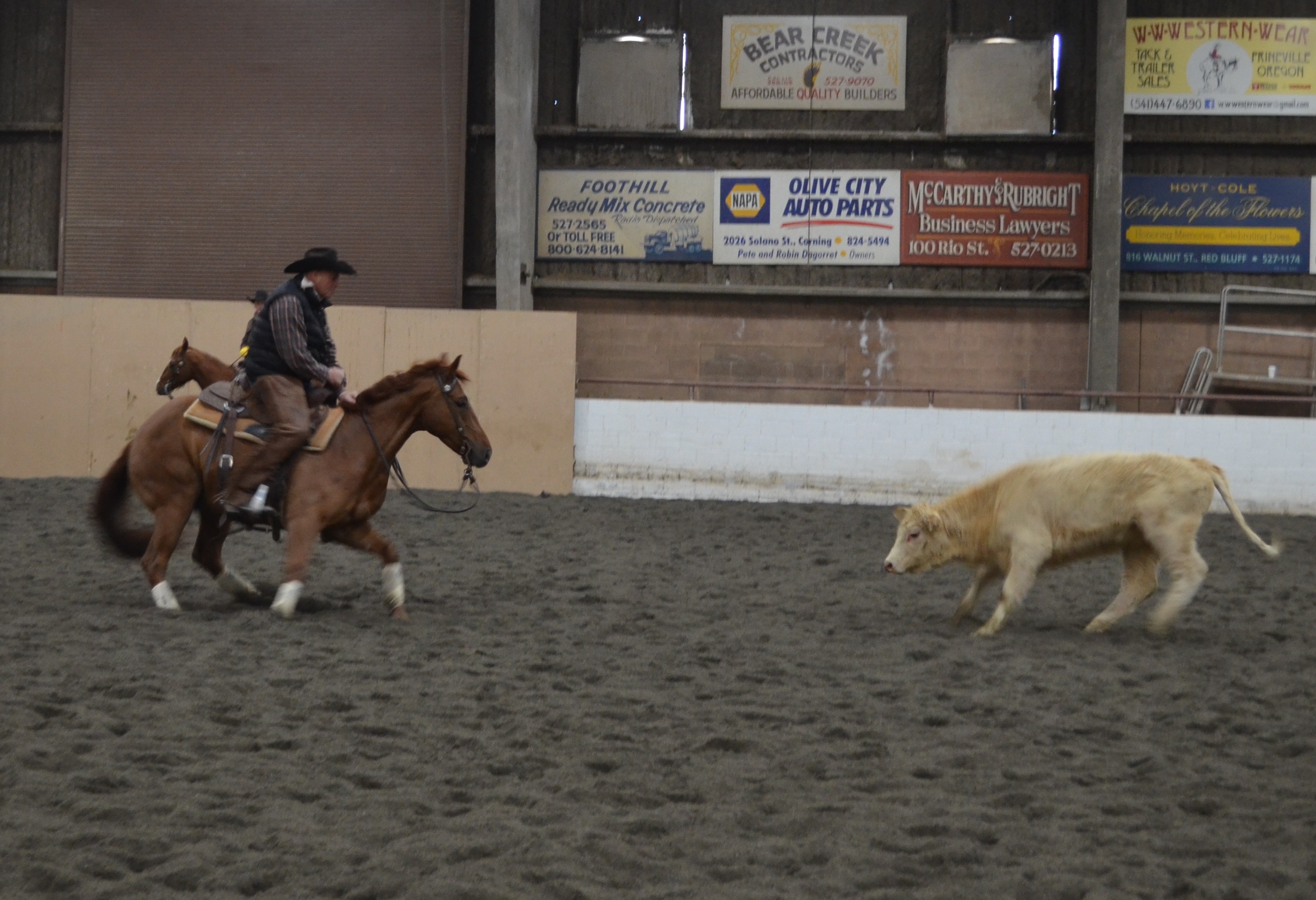 2609x1785 Cutting Horses Draw Riders, Attendees From All Over Red Bluff - Cutting Horse Drawings
