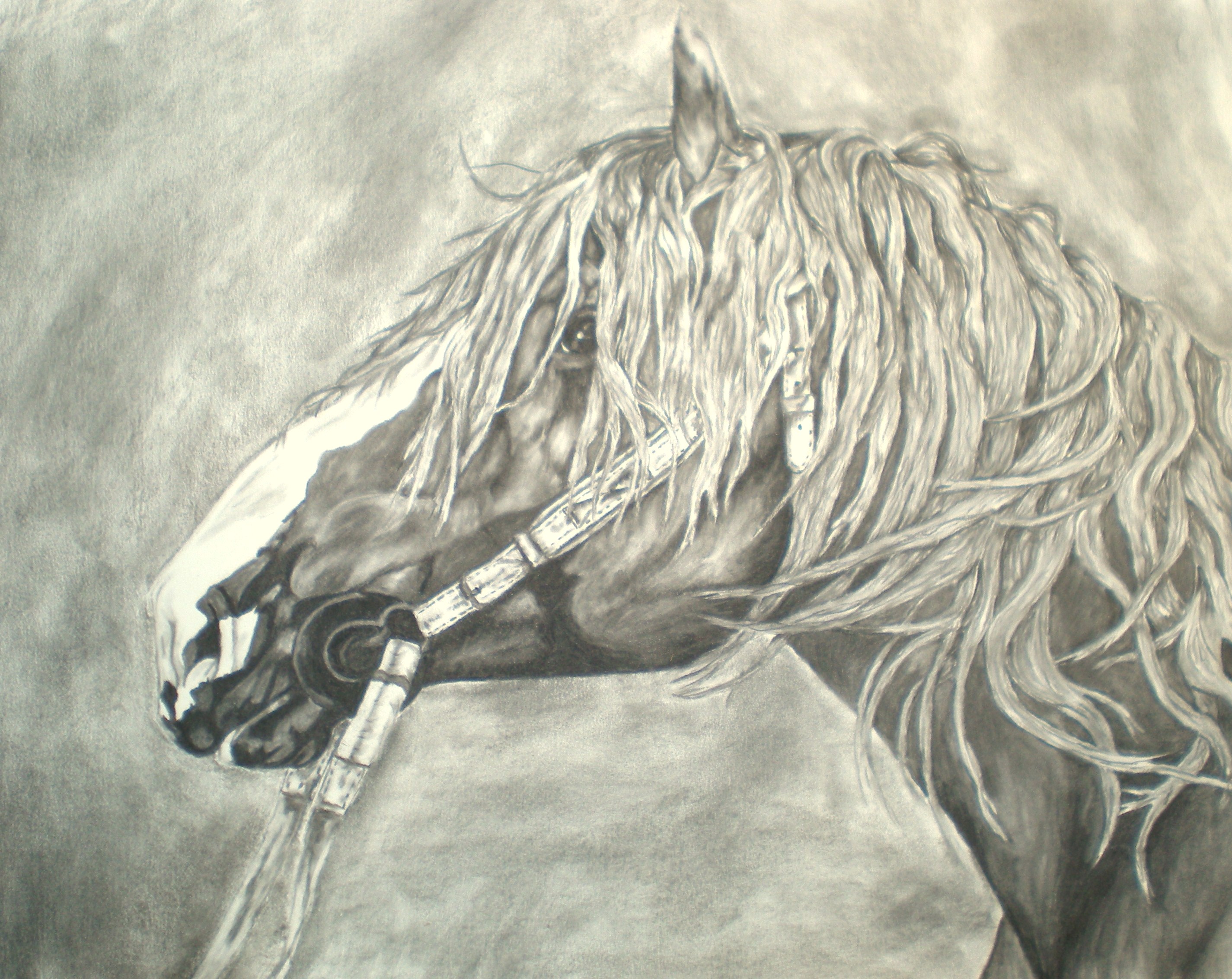 2850x2265 Drawings For Sale - Cutting Horse Drawings