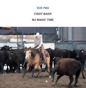 292x300 montana cutting horse association - Cutting Horse Drawings