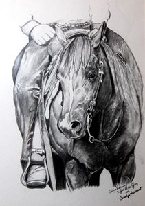211x300 Palomino Cutting Horse - Cutting Horse Drawings