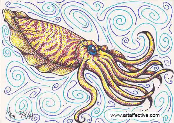600x425 Cuttlefish - Cuttlefish Drawing