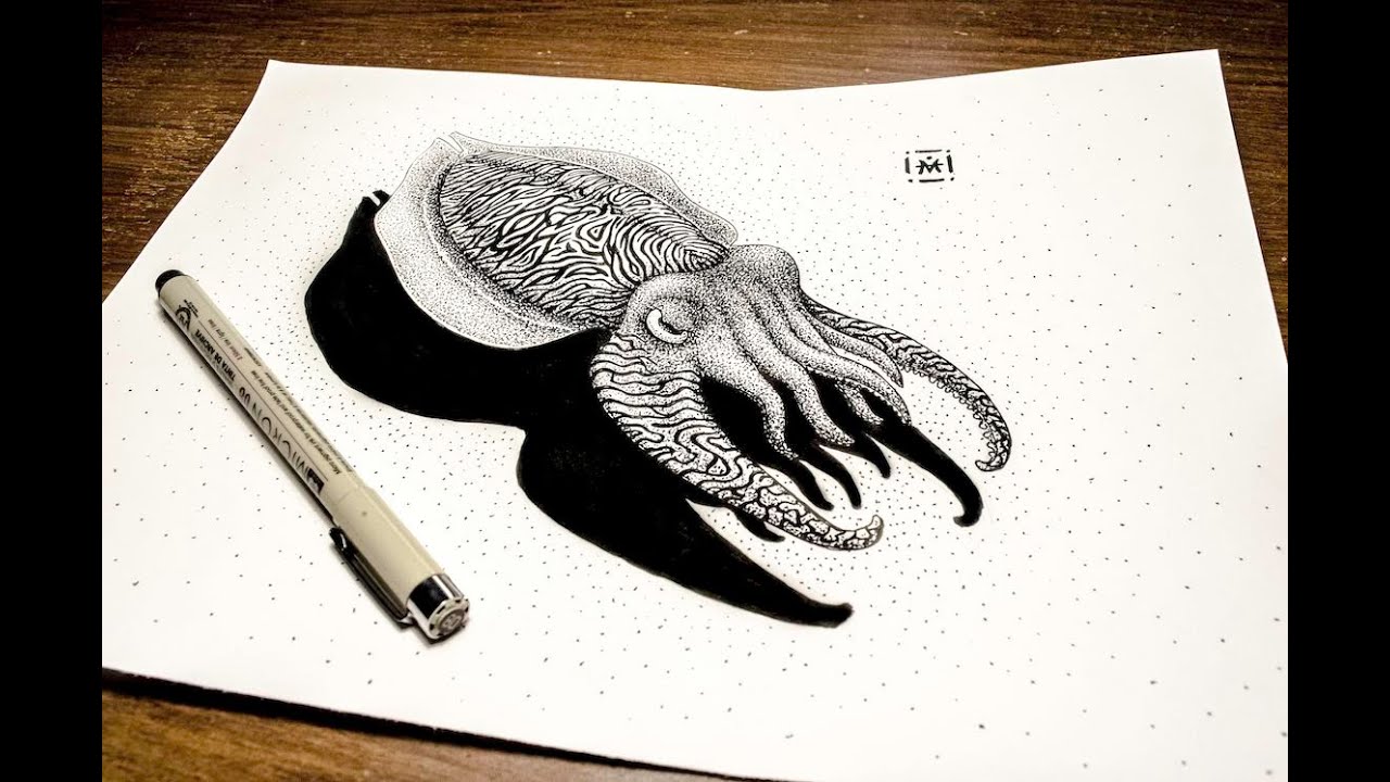 1280x720 Cuttlefish Liner Drawing Speedpaint - Cuttlefish Drawing
