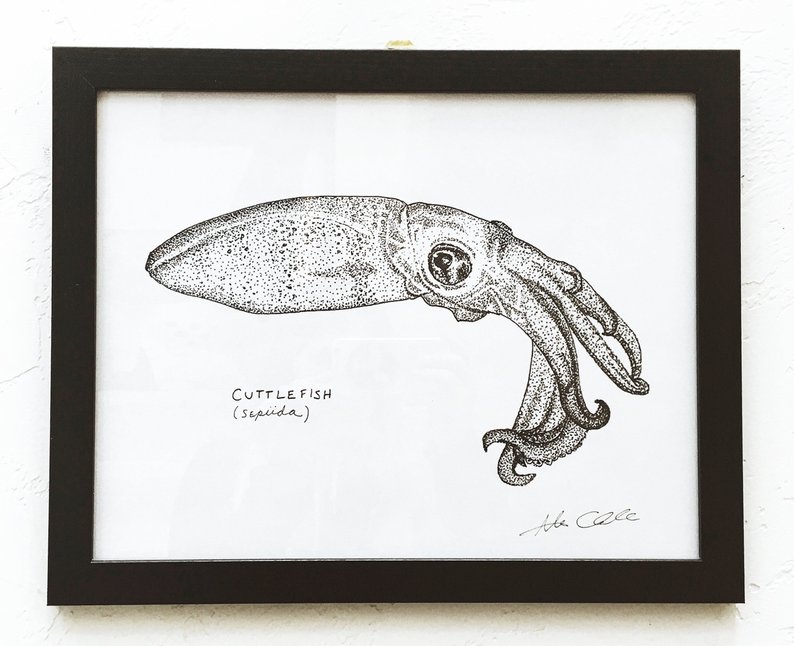 794x646 Cuttlefish Squid Wall Art Decor Pointillisim Drawing From The Etsy - Cuttlefish Drawing