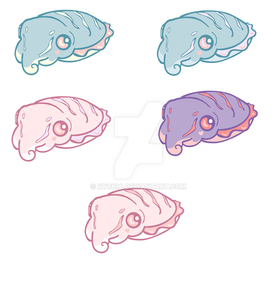 887x900 Cuttlefish Art - Cuttlefish Drawing