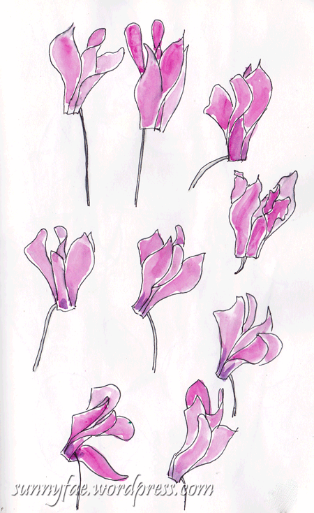 450x734 Cyclamen Studies Sunnyfae - Cyclamen Drawing