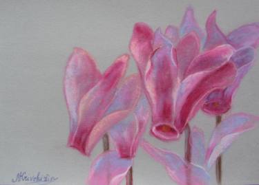 375x269 Cyclamen Drawing - Cyclamen Drawing