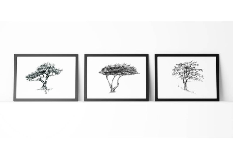 794x545 Tree Art Set Of Prints Cypress Tree Drawing Bonsai Etsy - Cypress Tree Drawing