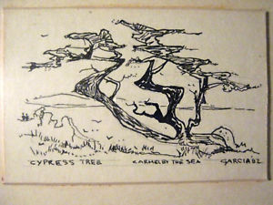 300x225 Cypress Tree - Cypress Tree Drawing