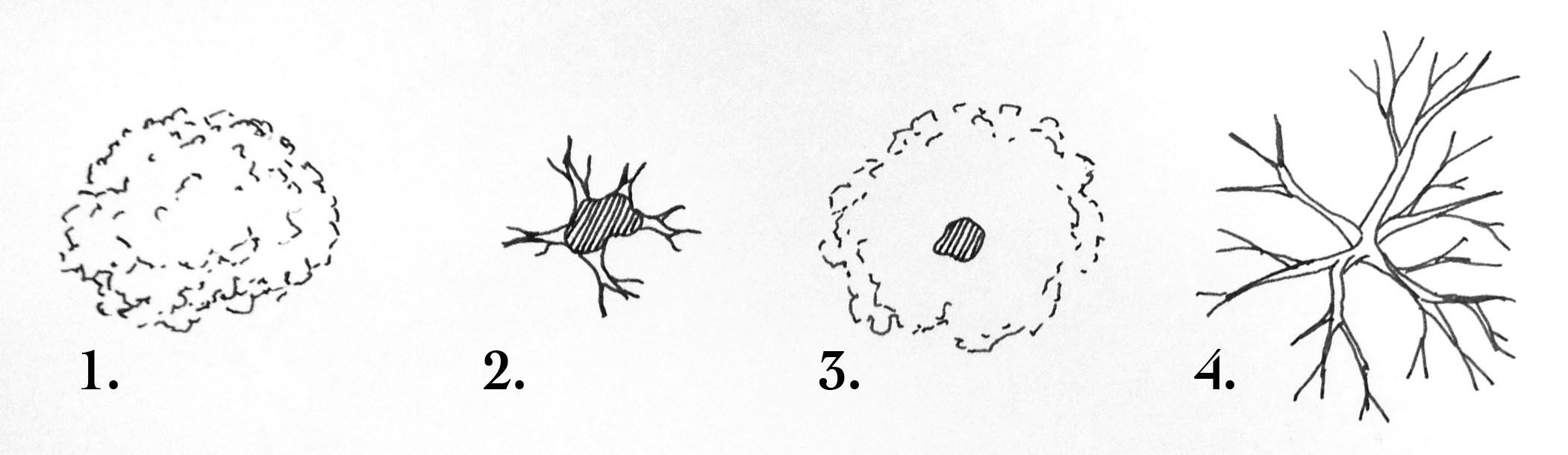 2101x609 How To Draw Dampd Maps - D&D Drawing