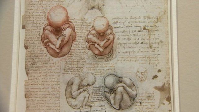 640x360 da vinci's pioneering human body drawings - Da Vinci Drawings