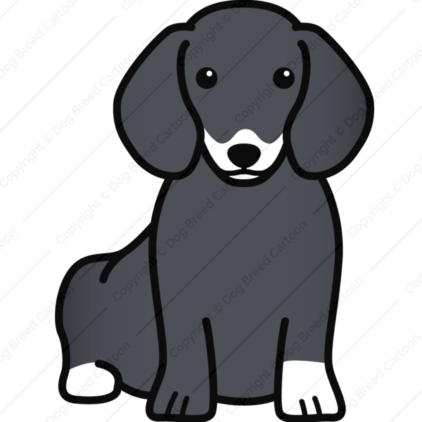 600x600 dachshund - Dachshund Cartoon Drawing
