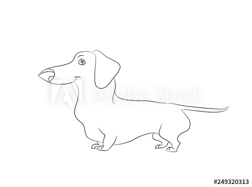 500x372 vector illustration of a cartoon dachshund that stands drawing - Dachshund Cartoon Drawing