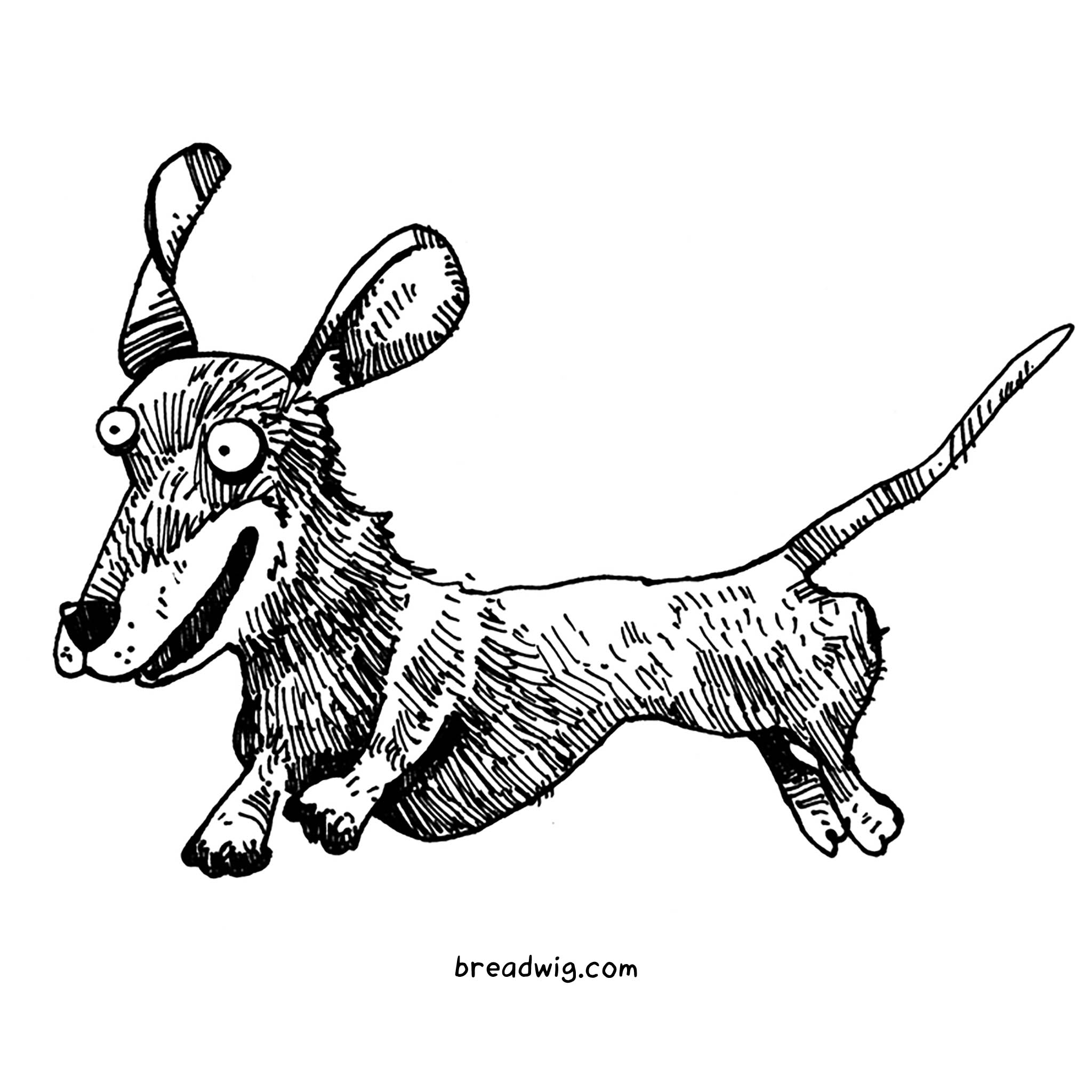 2048x2048 wiener dogs and dachshund cartoon and comic character doodles - Dachshund Cartoon Drawing