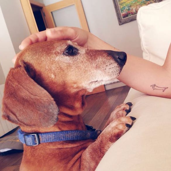 585x585 Tattoodo Picasso's Dachshund Drawing Tattoo Via - Dachshund Drawing Picasso