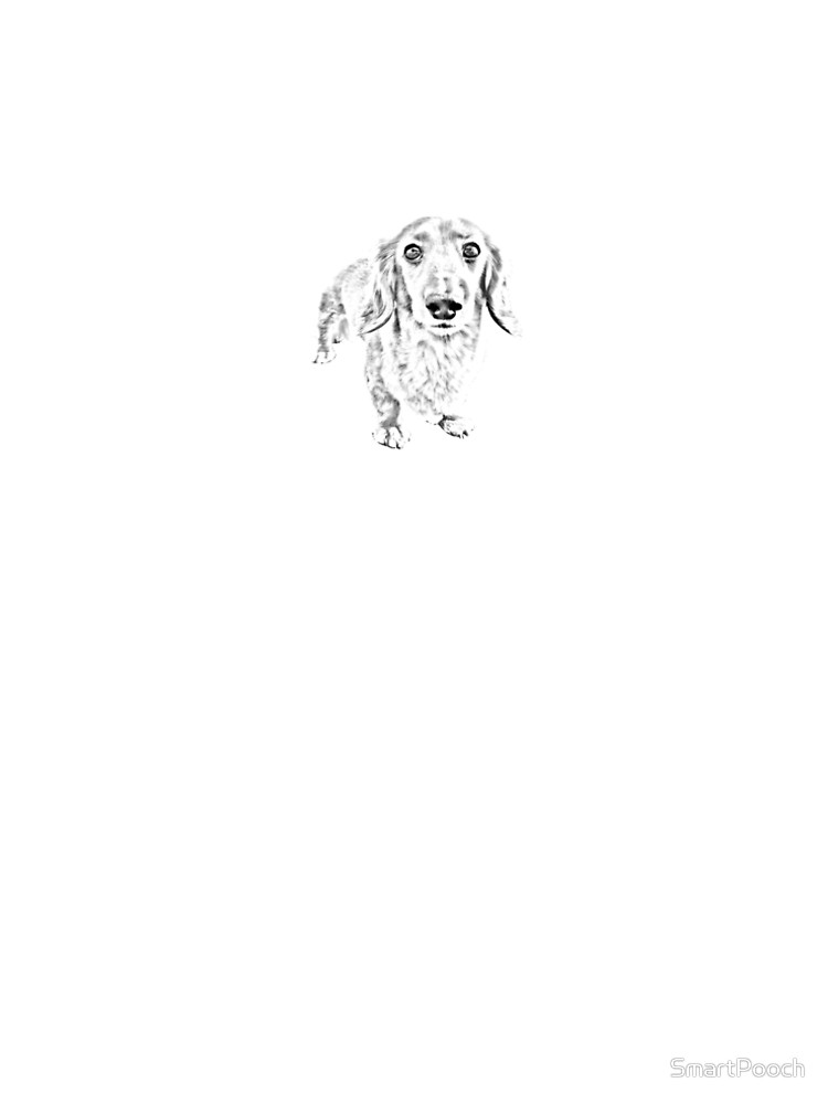 750x1000 Long Haired Dachshund Pencil Drawing Art A Line Dress - Dachshund Line Drawing