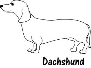300x223 Puppy Designs Dachshund, Winnie Dogs, Dog - Dachshund Line Drawing