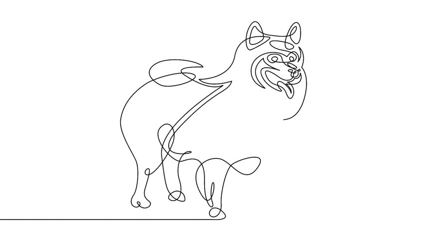 852x480 Dachshund Line Drawing Stock Video Footage - Dachshund Line Drawing