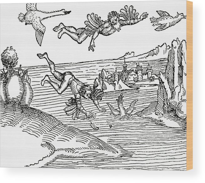 655x583 daedalus and icarus wood print - Daedalus And Icarus Drawing