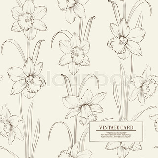 320x320 daffodil flower or narcissus isolated stock vector colourbox - Daffodil Botanical Drawing