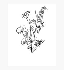 210x230 daffodil drawing photographic prints redbubble - Daffodil Drawing