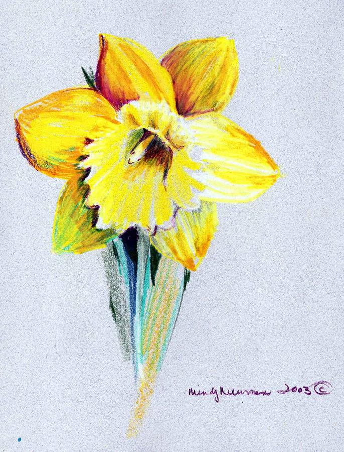 686x900 daffodil drawing - Daffodil Drawing