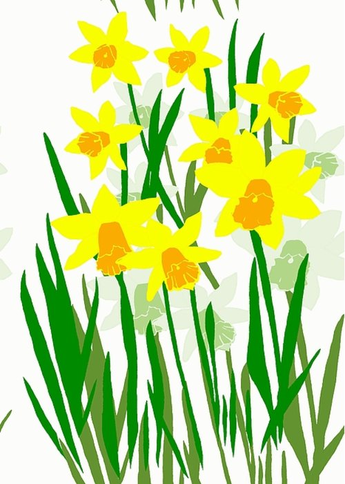 500x700 daffodils drawing greeting card for sale - Daffodil Drawing