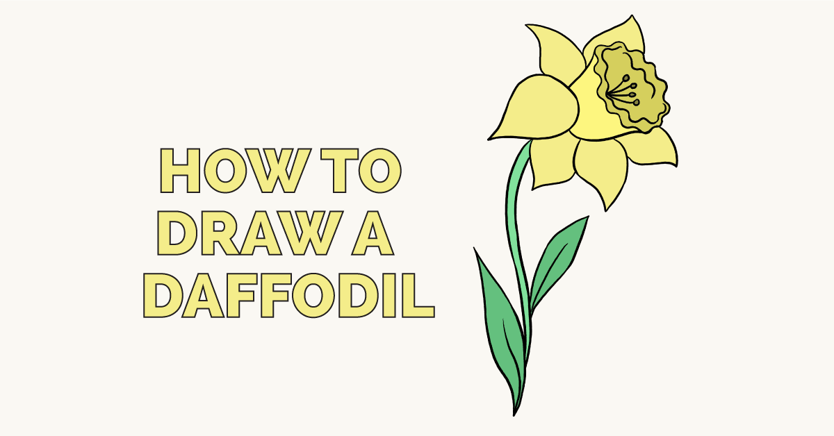 1200x628 how to draw a daffodil - Daffodil Drawing
